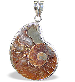 Design 15393: brown ammonite american-southwest pendants